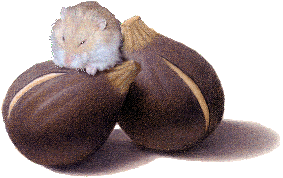 still life with fig