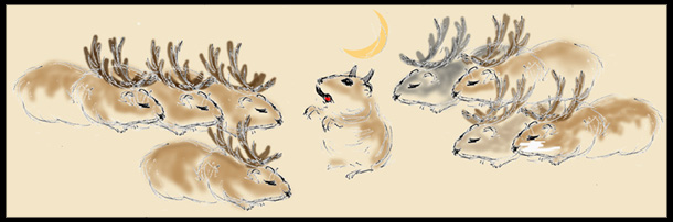 nine tiny  ummmm    reindeer